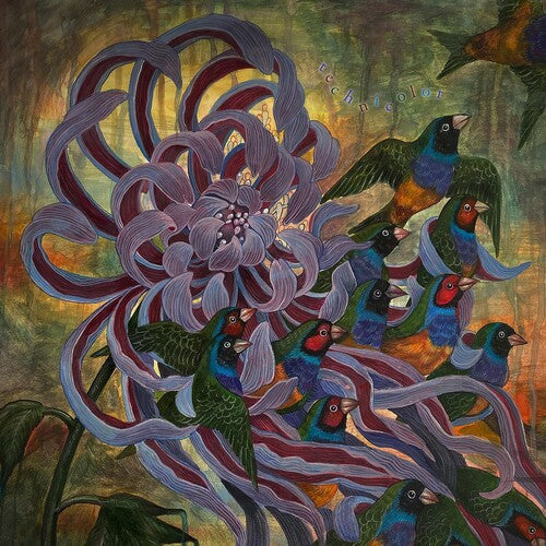 Covet: Technicolor [ Vinyl ]