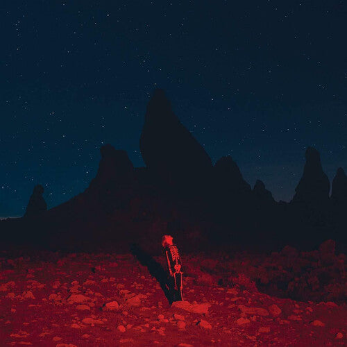 Phoebe Bridgers: Punisher [ Vinyl ]