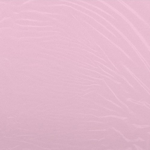Cam'ron: The Program (Clear Vinyl LP + Bandana) [ Vinyl ]