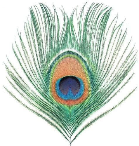 XTC: Apple Venus Vol 1 [ Vinyl ]