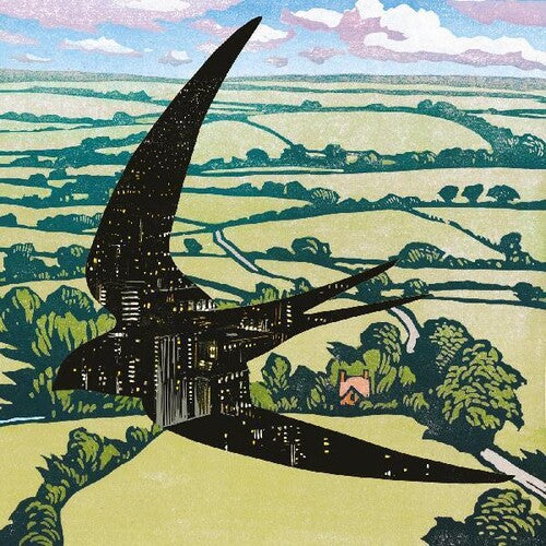 Bibio: Sleep On The Wing [ Vinyl ]