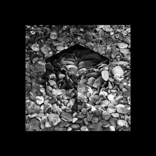 Sublee: Irealis  / Vinyl Record