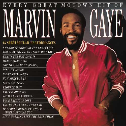 Marvin Gaye: Every Great Motown Hit Of Marvin Gaye: 15 Spectacular Performances [ Vinyl ]