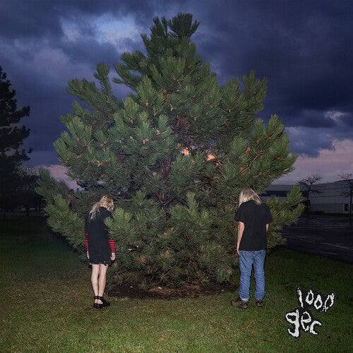 100 gecs: 1000 Gecs [ Vinyl ]