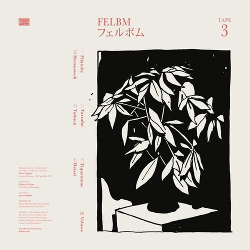 Felbm: Tape 3 / Tape 4 [ Vinyl ]