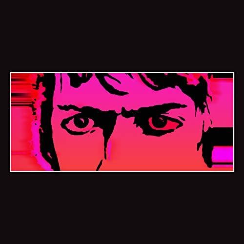 Delicate Steve: Till I Burn Up [ Vinyl ]