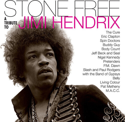 Jimmy Tribute Hendrix: Stone Free: Jimi Hendrix Tribute [ Vinyl ]