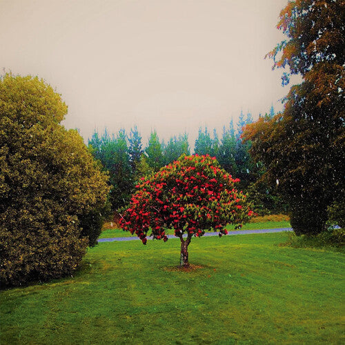 The Bats: Foothills [ Vinyl ]