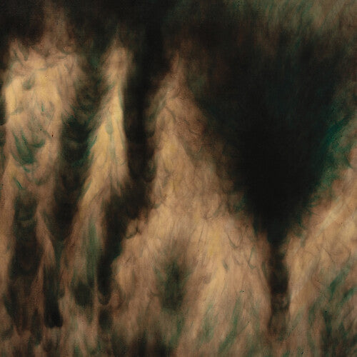 William Basinski: Lamentations [ Vinyl ]