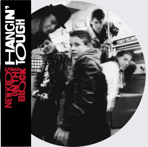 New Kids on the Block / Nkotb: Hangin' Tough (Ltd Picture Disc) [ Vinyl ]