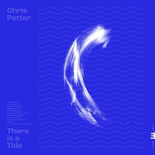 Potter, Chris: There Is A Tide [ Vinyl ]