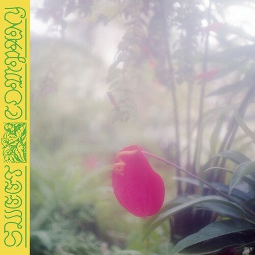 Jabu: Sweet Company [ Vinyl ]