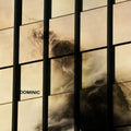 Dominic: Dominic  / Vinyl Record