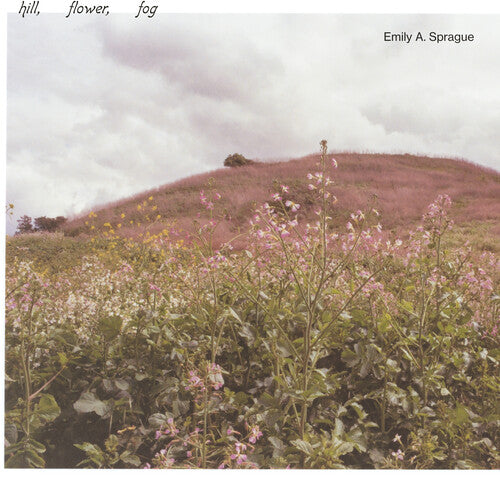 Emily a Sprague: Hill, Flower, Fog [ Vinyl ]