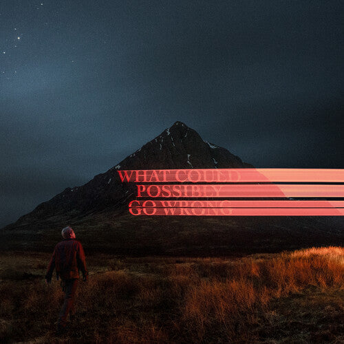 Dominic Fike: What Could Possibly Go Wrong [ Vinyl ]