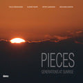 Various Artists: Pieces - VINYL