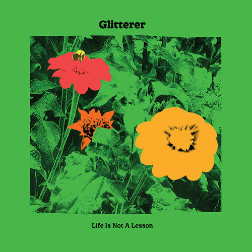 Glitterer: Life Is Not A Lesson [ Vinyl ]