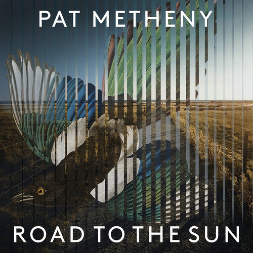 Pat Metheny: Road To The Sun [ Vinyl ]