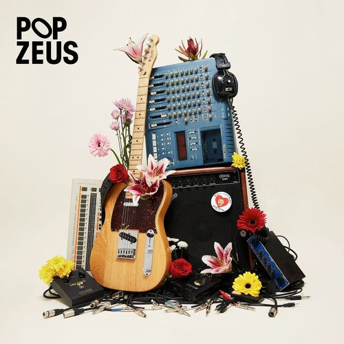 Pop Zeus: This Doesn't Feel Like Home (Unreleased Demos 2011-2014) [ Vinyl ]