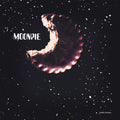 Moonpie: Moonpie [ Vinyl ]