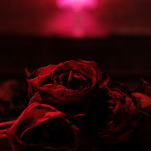 The Paper Kites: Roses [ Vinyl ]