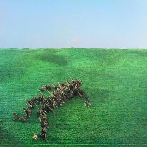 Squid: Bright Green Field [ Vinyl ]