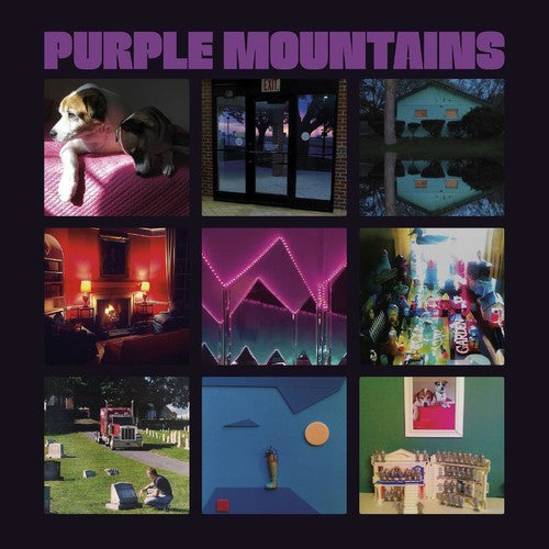 Purple Mountains: Purple Mountains [ Vinyl ]