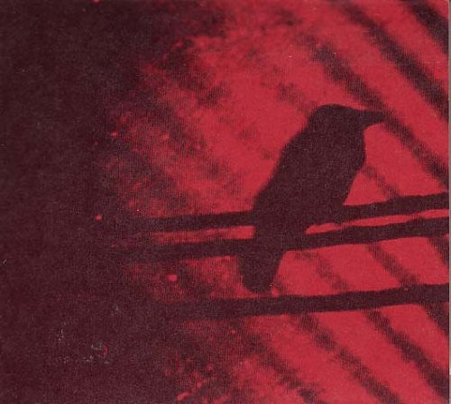 A Silver Mt. Zion: Born Into Trouble As the Sparks Fly Upward [ Vinyl ]
