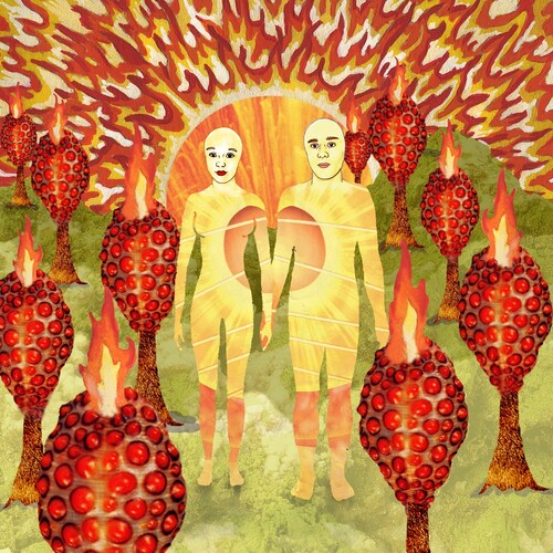Of Montreal: The Sunlandic Twins [ Vinyl ]
