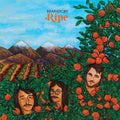 Brainstory: Ripe - 12-INCH SINGLE