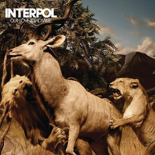 Interpol: Our Love To Admire [ Vinyl ]
