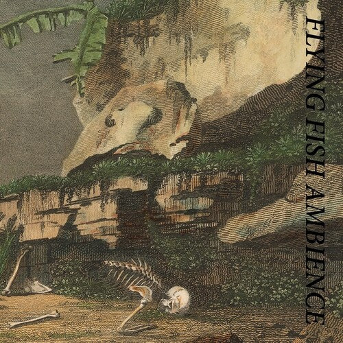Rainforest Spiritual Enslavement: Flying Fish Ambience  / Vinyl Record