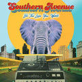 Southern Avenue: Be The Love You Want  / Vinyl Record