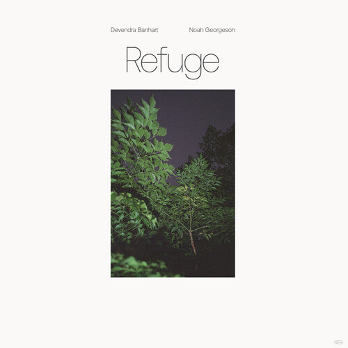 Devendra Banhart: Refuge (Blue Seaglass Wave Translucent Vinyl) [ Vinyl ]
