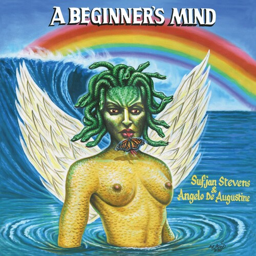 Sufjan Stevens: A Beginner's Mind [ Vinyl ]