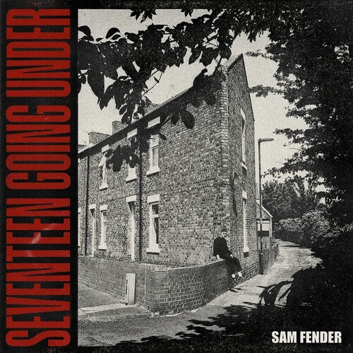 Sam Fender: Seventeen Going [ Vinyl ]