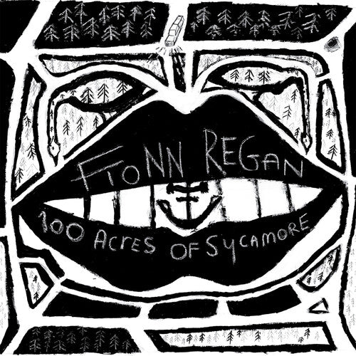 Fionn Regan: 100 Acres Of Sycamore [ Vinyl ]