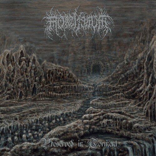 Mortiferum: Preserved In Torment [ Vinyl ]