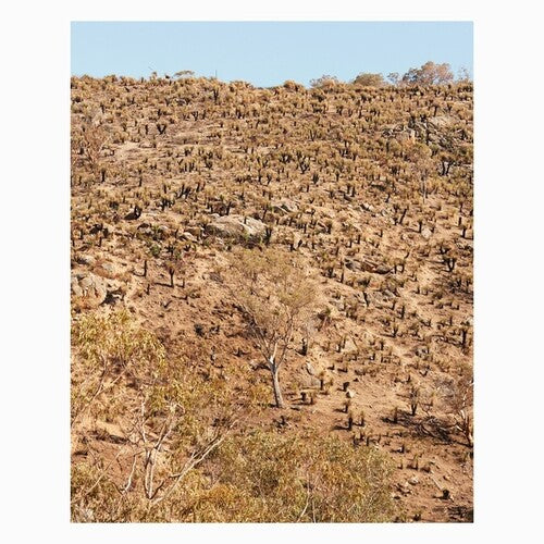 Andrew Pekler: Palimpsests [ Vinyl ]