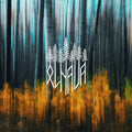 Olhava: Olhava - CD