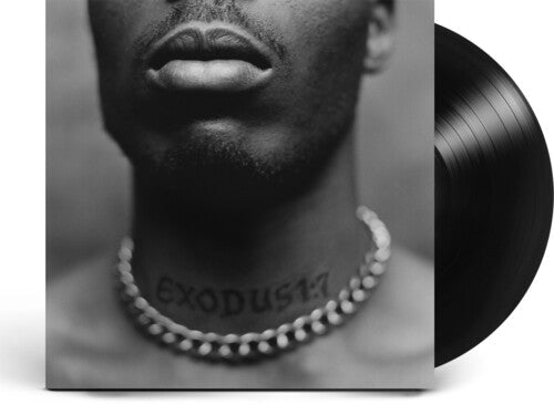DMX: Exodus [ Vinyl ]