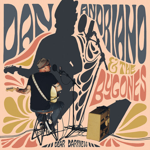 Dan Andriano: Dear Darkness [ Vinyl ]