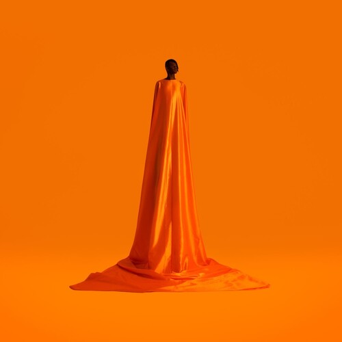 Wayne Snow: Figurine [ Vinyl ]
