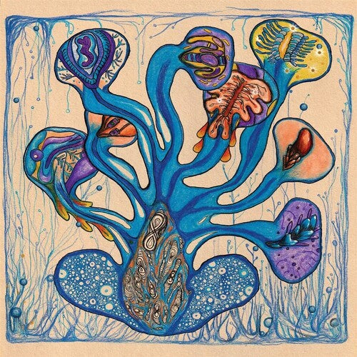 Houeida Hedfi: Fleuves de l'Ame [ Vinyl ]