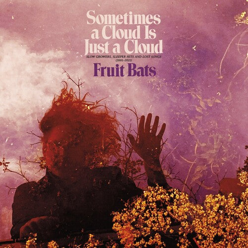 Fruit Bats: Sometimes a Cloud Is Just a Cloud: Slow Growers, Sleeper Hits and Lost Songs (2001–2021) [ Vinyl ]