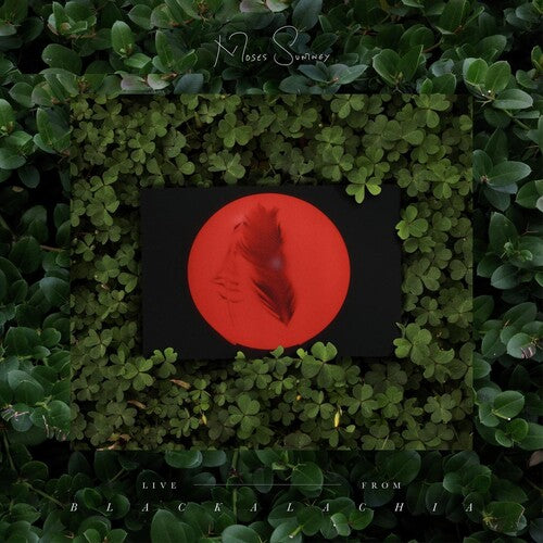 Moses Sumney: Live From Blackalachia (Clear Green) [ Vinyl ]