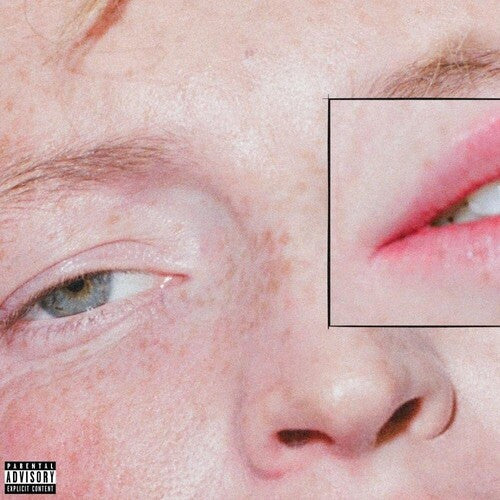 Greeting Committee: Dandelion [ Vinyl ]