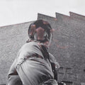 Aldous Harding: Warm Chris [ Vinyl ]