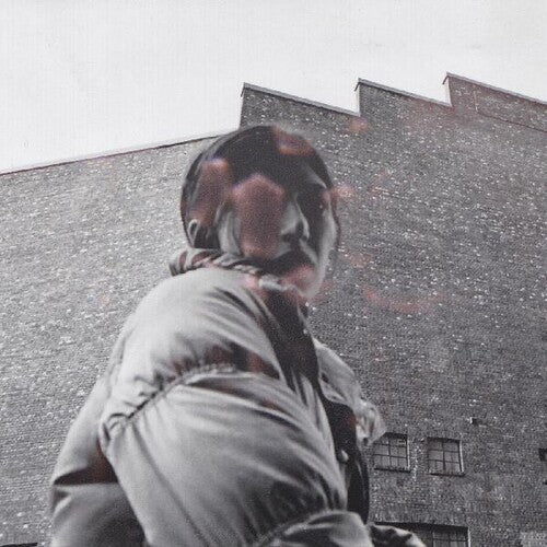Aldous Harding: Warm Chris [ Vinyl ]