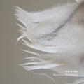 Rob Burger: Marching With Feathers - Compact Disc